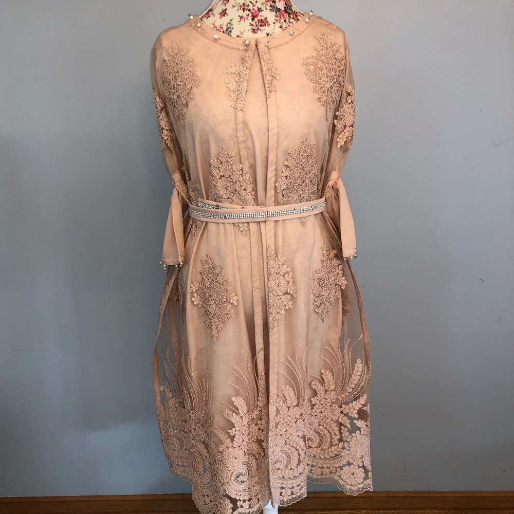 Light Pink Lace Net Pakistani/Indian Shalwar Kameez Dress